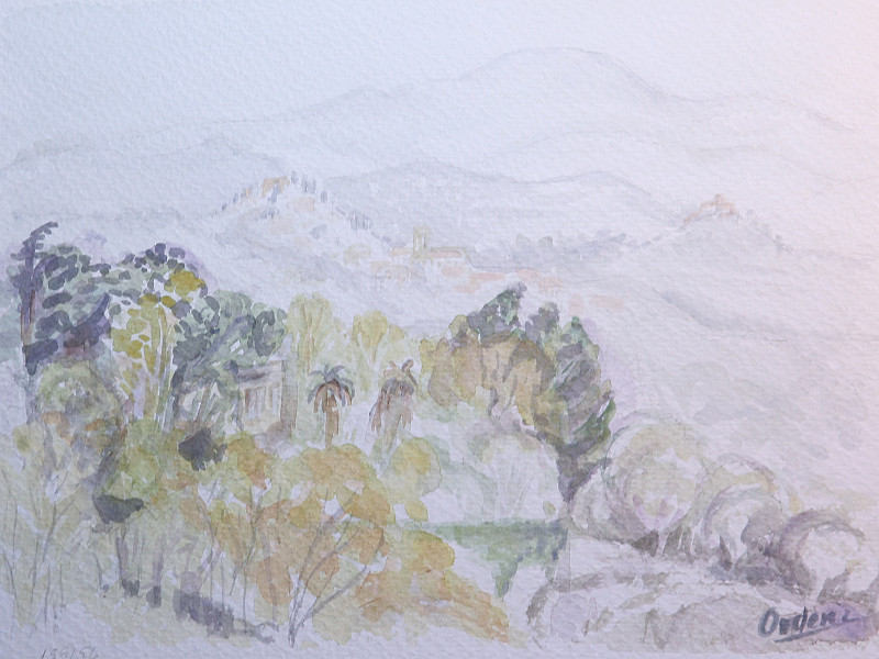 pinturas de bosques 