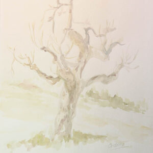 Cuadro de arboles 12