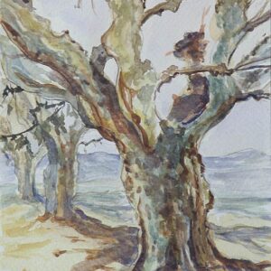 Cuadro de árboles 26