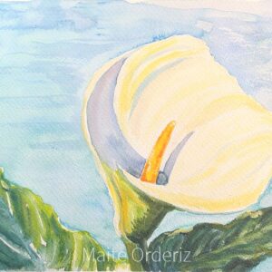Cuadro paisaje flores 20
