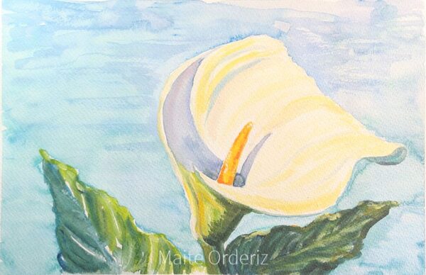 Cuadro paisaje flores 20