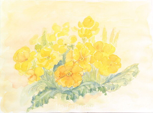 Cuadro paisaje flores 33