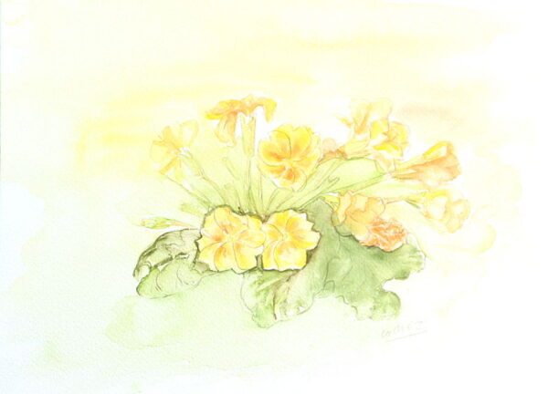 Cuadro paisaje flores 34