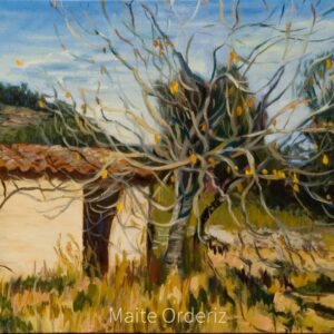 Cuadro de casas 17