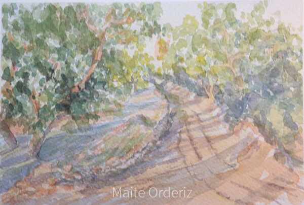 Cuadro paisaje bosques 02