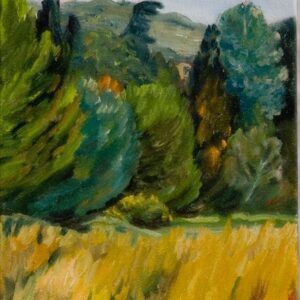Cuadro paisaje bosques 18