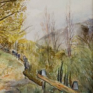 Cuadro paisaje bosques 19