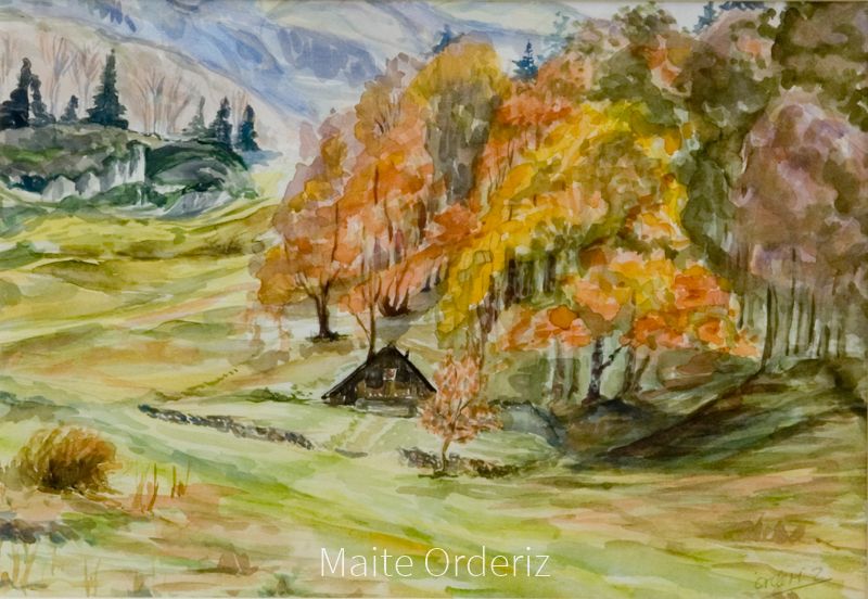 Cuadro paisaje bosques 20