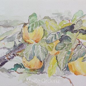 Cuadro de bodegones frutas 01