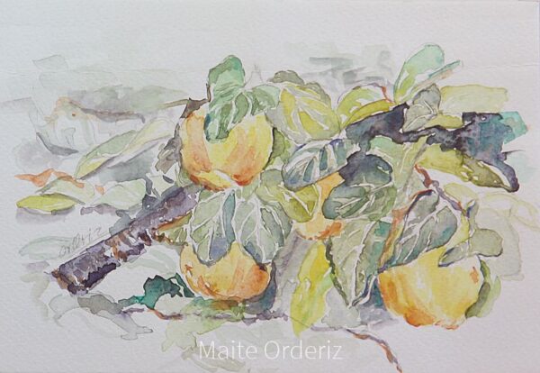 Cuadro de bodegones frutas 01