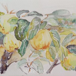 Cuadro de bodegones frutas 02