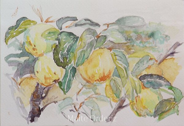 Cuadro de bodegones frutas 02