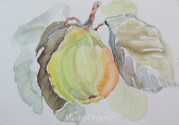 Cuadro de bodegones frutas 06