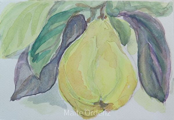 Cuadro de bodegones frutas 07