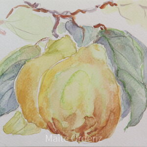 Cuadro de bodegones frutas 08