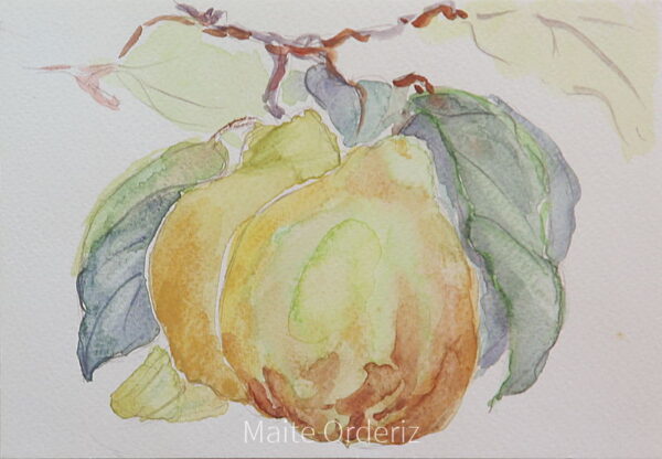 Cuadro de bodegones frutas 08